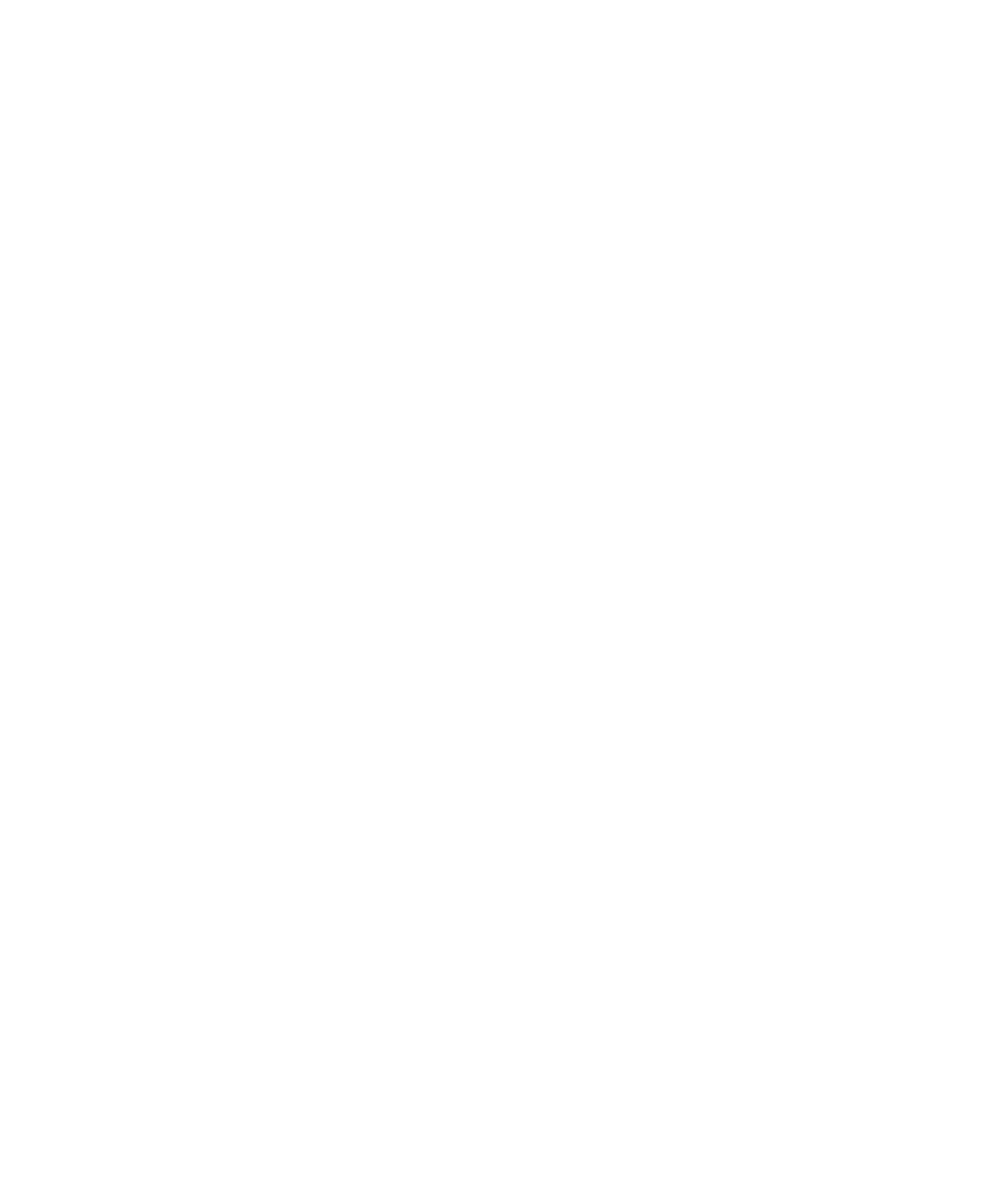 Logo DocFi
